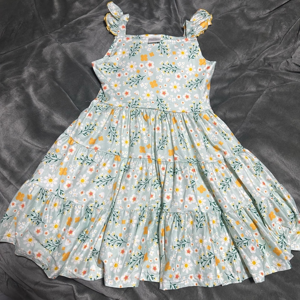 Blue daisy